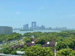 -苏州金鸡湖文博诺富特酒店