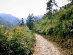 -会稽山峡洞漂流-上青古道