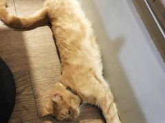 -小时光咖啡馆(开森度假森林店)