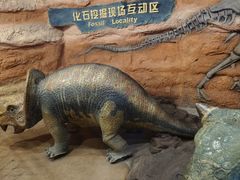 -河南自然博物馆