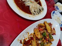 -煲来饱去冷水鱼