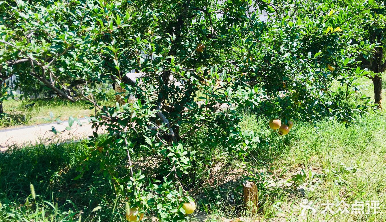 31-20摄氏度，吹着风温度还超级舒服
