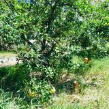 31-20摄氏度，吹着风温度还超级舒服