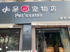 -小呆的宠物店·宠物售卖·宠物寄养(城西店)