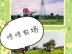 -哼哼农场