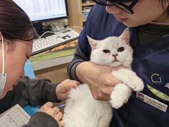 -美迦爱-牙专科·兔科·骨科诊疗中心(北苑店)