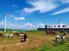 -空中草原