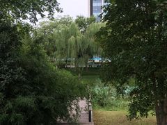 -尚贤河湿地