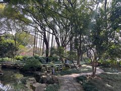 -上海醉白池公园