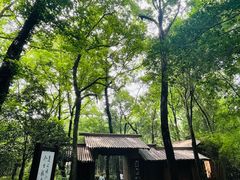 -兰亭风景区