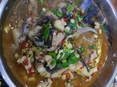 -全乐鱼馆·淳牌有机鱼直营店