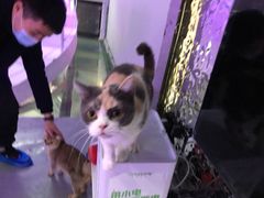 -极木²邸 人与宠物·互动社区