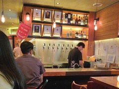 -猫员外精酿啤酒馆(聚豪园店)
