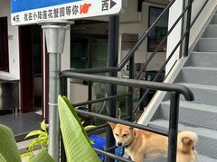 -小陆莲花蟹园农家乐(莲花岛店)