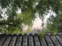 -丽江庭院·云南野生菌·海鲜火锅(鼓楼四合院店)