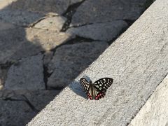 -青州市云门山风景区