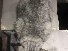 -小时光咖啡馆(开森度假森林店)
