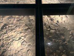 -金沙遗址博物馆