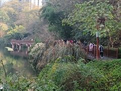 -重庆彩云湖湿地公园