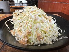 -山杏yama-katsu·吉列炸物