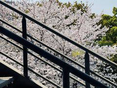 -IKEA宜家家居(南京商场)