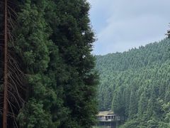 -武陵山森林公园