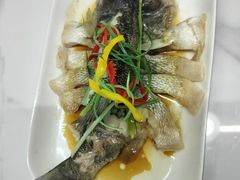 -悦芽照护月嫂+育儿嫂(杭州店)