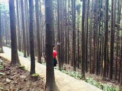 -山王坪喀斯特国家生态公园