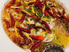 老坛子酸菜鱼-太二酸菜鱼(正大广场店)