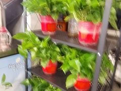 -向川南·水煮鱼·川菜(和平里店)