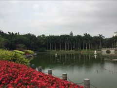 -南宁南湖公园