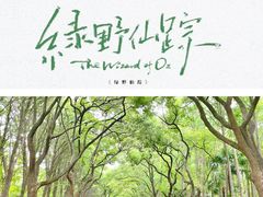 -上海共青森林公园