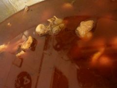 -仔耳朵冷锅鱼蛙芋儿鸡(莲花东路店)