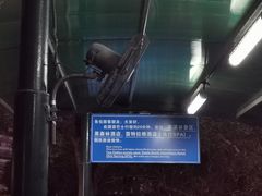 -东部华侨城