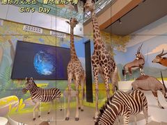 -陕西自然博物馆