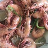 滑皮虾🦐 虾🦐中爱马仕