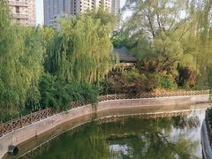 -迎泽公园