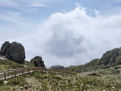 -白草畔自然风景区