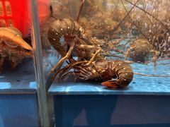 -阿伟海鲜楼·福建菜(延寿店)