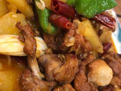 -巴依老爷新疆美食(常营店)