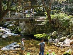 -少华山国家森林公园