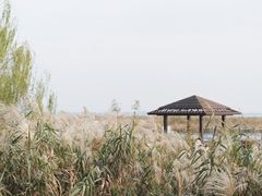 -苏州香山国际大酒店