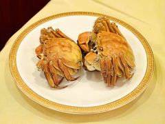 -王宝和酒家(黄浦店)