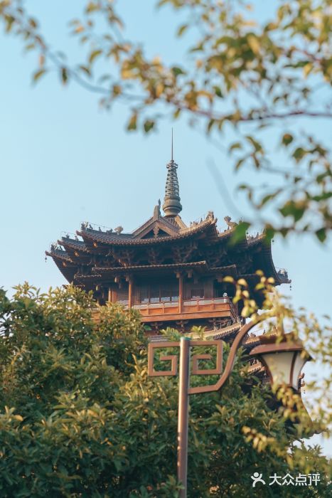 杭州半山国家森林公园图片