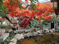 -老山东·山东菜(鲁菜名店)