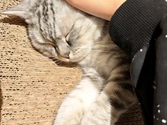 -隅cafe(傅厚岗店)