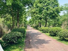 -白鹭湾湿地公园