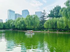 -团结湖公园