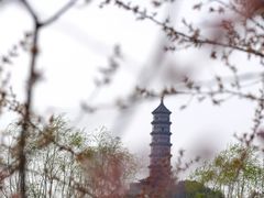 -北坞公园