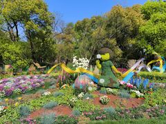 -上海共青森林公园